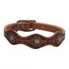 Weaver Leather Sundance Dog Collar
