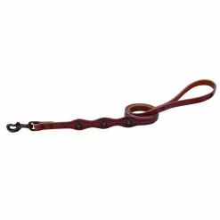 Weaver Leather Sundance Dog Leash, 3/4 in. x 4 ft.