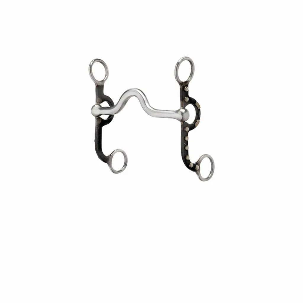 Weaver Leather Professional Antiqued Argentine Horse Bit, 5 in. Sweet Iron Polished Medium Port Mouth with Copper Inlay, 25-1820 1 Weaver Leather Professional Antiqued Argentine Horse Bit, 5 in. Sweet Iron Polished Medium Port Mouth with Copper Inlay, 25-1820