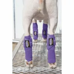 Weaver Leather 4 in. x 4 in. Sheep and Goat Leg Wraps, Purple, 4 pk. -Weaver Leather Sales Shop 1120218 A2