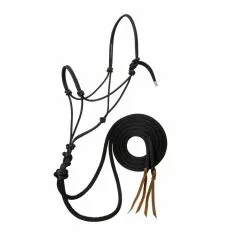 Weaver Leather Silvertip Loping Halter with 8 ft. Reins, Average, 35-9565-S1