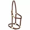 Weaver Leather Track Halter, 3/4 in. Leather, Cob, Mahogany, 10-0153