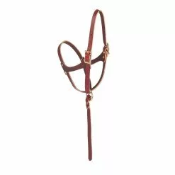 Weaver Leather Figure 8 Foal Halter, 5/8 in. Leather, Suckling, Burgundy, 10-0190
