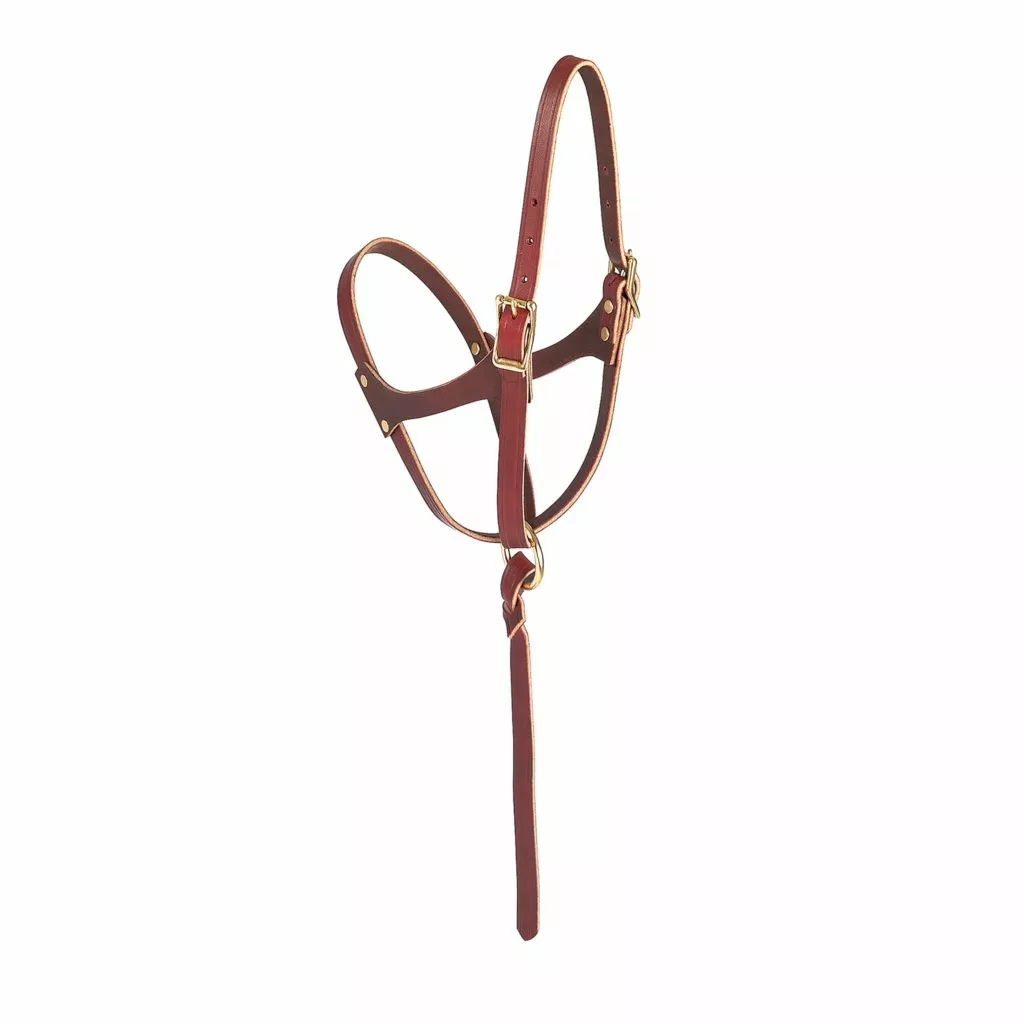 Weaver Leather Figure 8 Foal Halter, 5/8 in. Leather, Suckling, Burgundy, 10-0190 1 Weaver Leather Figure 8 Foal Halter, 5/8 in. Leather, Suckling, Burgundy, 10-0190