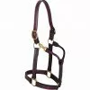 Weaver Leather Thoroughbred Halter without Snap, 20-0506