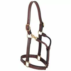 Weaver Leather Leather Thoroughbred Halter with Snap, 1 in., 20-0511