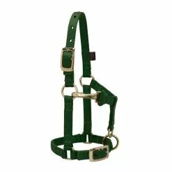 Weaver Leather Miniature Horse Halter with Adjustable Chin and Throat Snap, 5/8 in., 35-4800-BL -Weaver Leather Sales Shop 1200736