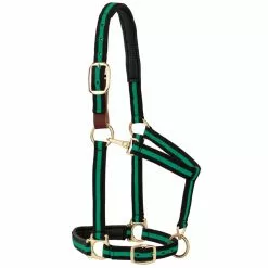 Weaver Leather Halter with Padded Breakaway Adjustable Chin and Throat Snap, Striped Print, 35-6065-GR