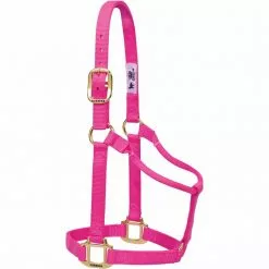 Weaver Leather Original Non-Adjustable Halter, 35-7004-EG -Weaver Leather Sales Shop 1200863