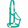 Weaver Leather Original Non-Adjustable Halter, 35-7004-EG