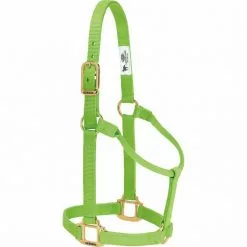 Weaver Leather Original Non-Adjustable Halter, 35-7004-EG -Weaver Leather Sales Shop 1200866