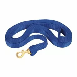 Weaver Leather Flat Nylon Lunge Line, Raspberry, 35-7043-RD