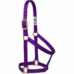 Weaver Leather Basic Non-Adjustable Halter, 35-7404-GR