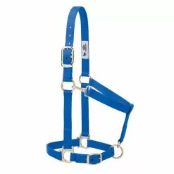 Weaver Leather Basic Halter with Adjustable Chin and Throat Snap, 1 in., 35-7434-BL