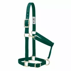 Weaver Leather Basic Halter with Adjustable Chin and Throat Snap, 1 in., 35-7434-BL -Weaver Leather Sales Shop 1200961