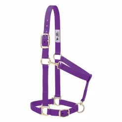 Weaver Leather Basic Halter with Adjustable Chin and Throat Snap, 1 in., 35-7434-BL -Weaver Leather Sales Shop 1200963