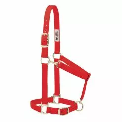 Weaver Leather Basic Halter with Adjustable Chin and Throat Snap, 1 in., 35-7434-BL -Weaver Leather Sales Shop 1200964