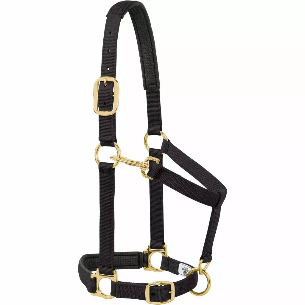 Weaver Leather Padded Adjustable Chin and Throat Snap Halter 2 Weaver Leather Padded Adjustable Chin and Throat Snap Halter - Image 2