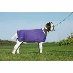 Weaver Leather Sheep Underblanket -Weaver Leather Sales Shop 1239878 A2