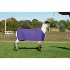 Weaver Leather Sheep Underblanket -Weaver Leather Sales Shop 1239878 A3