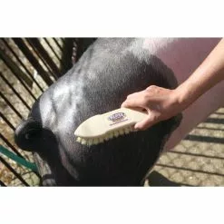 Weaver Leather Tampico Pig Brush -Weaver Leather Sales Shop 1239908 A2