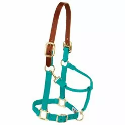 Weaver Leather Nylon Adjustable Breakaway Horse Halter, Yearling, 35-6023-EG