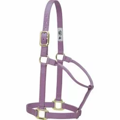 Weaver Leather Original Non-Adjustable Halter, 35-7004-EG -Weaver Leather Sales Shop 1259129