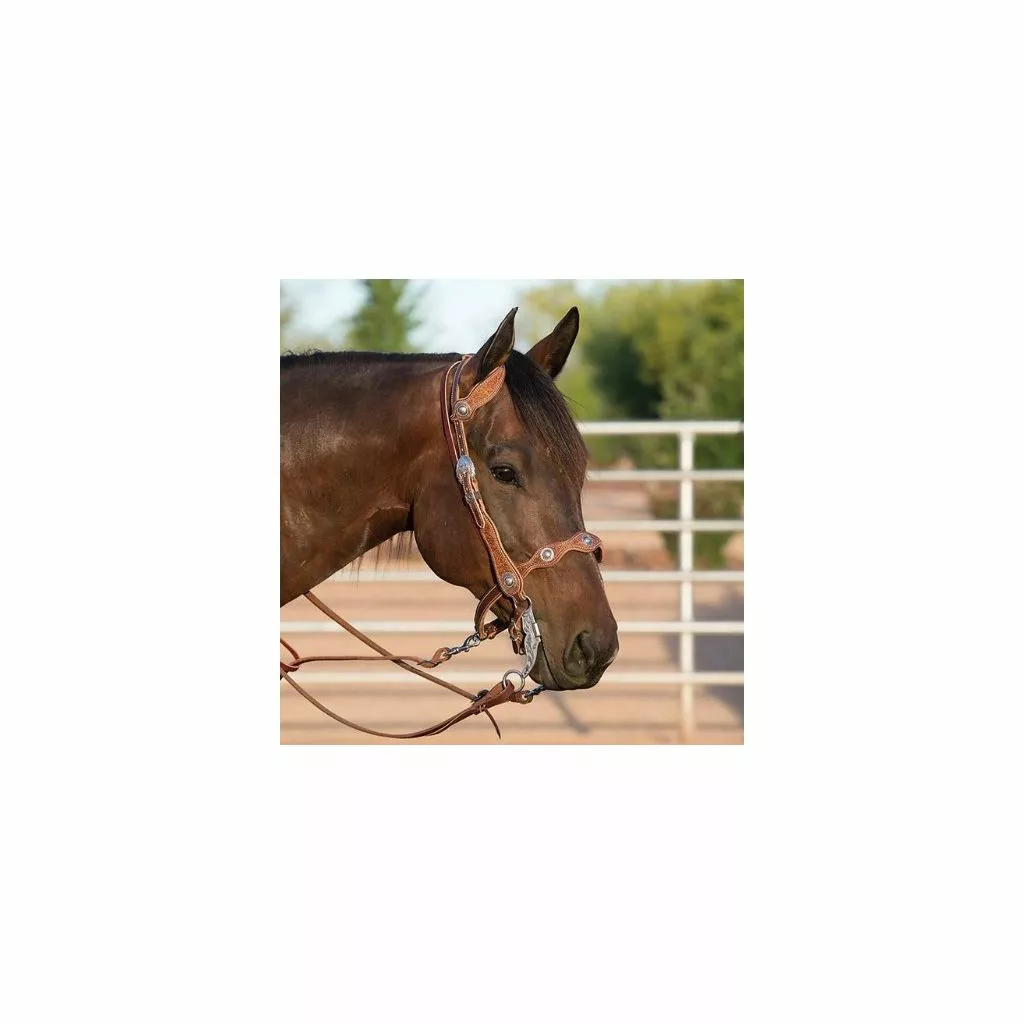 Weaver Leather Western Edge Horse Noseband, Sunset, 30-0129 2 Weaver Leather Western Edge Horse Noseband, Sunset, 30-0129 - Image 2
