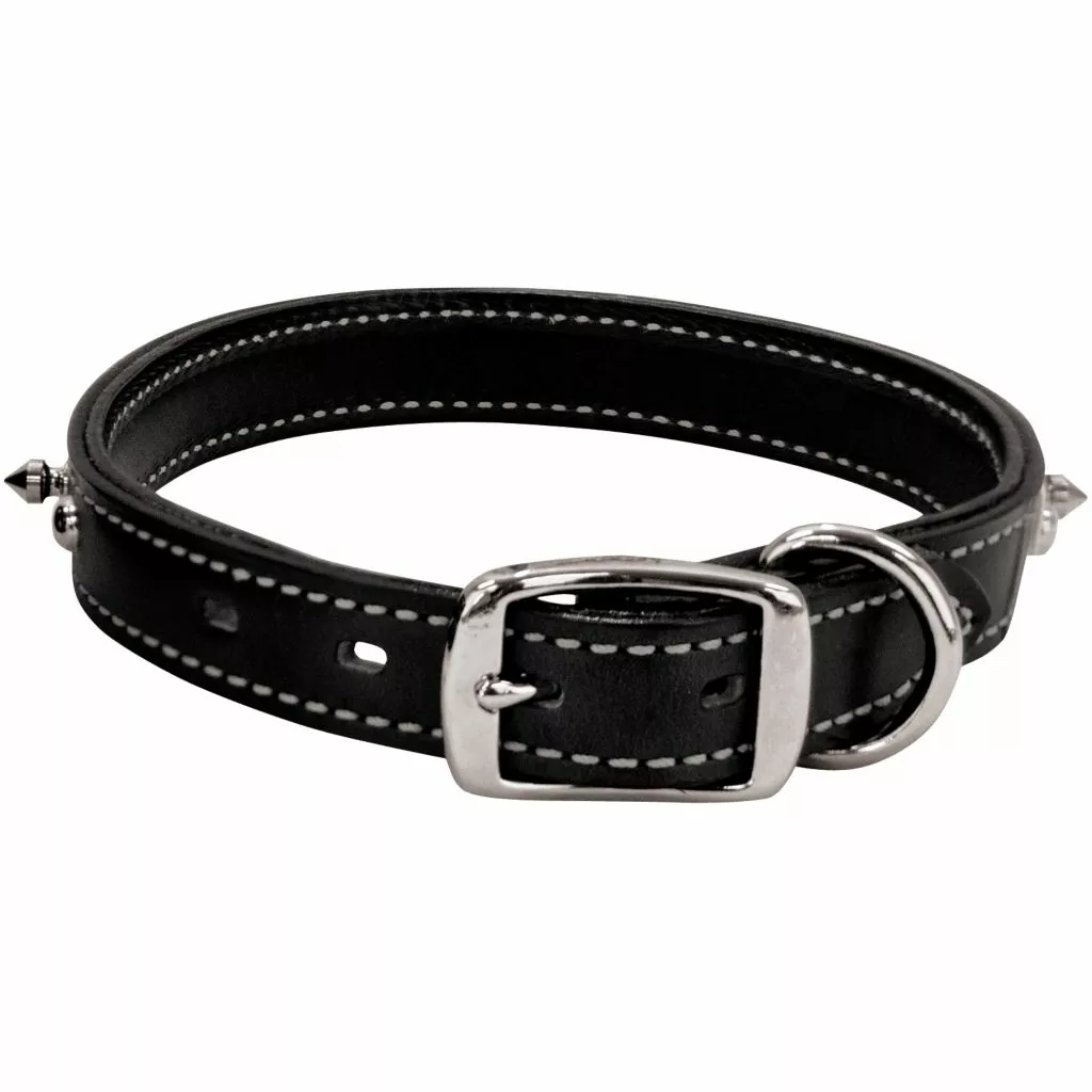 Weaver Leather Spike Dog Collar, 06-1450-25 2 Weaver Leather Spike Dog Collar, 06-1450-25 - Image 2