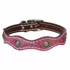 Weaver Leather Vintage Paisley Dog Collar