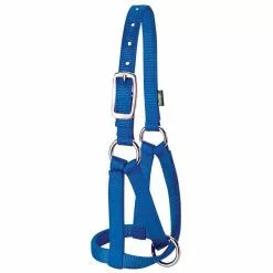Weaver Leather 3/4 in. Criss-Cross Llama Halter, Medium/Large, Blue, 35-7086-BL