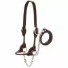 Weaver Leather Dairy/Beef Rounded Show Halter, Large, Brown