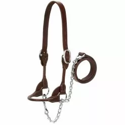 Weaver Leather Dairy/Beef Rounded Show Halter, Large, Brown