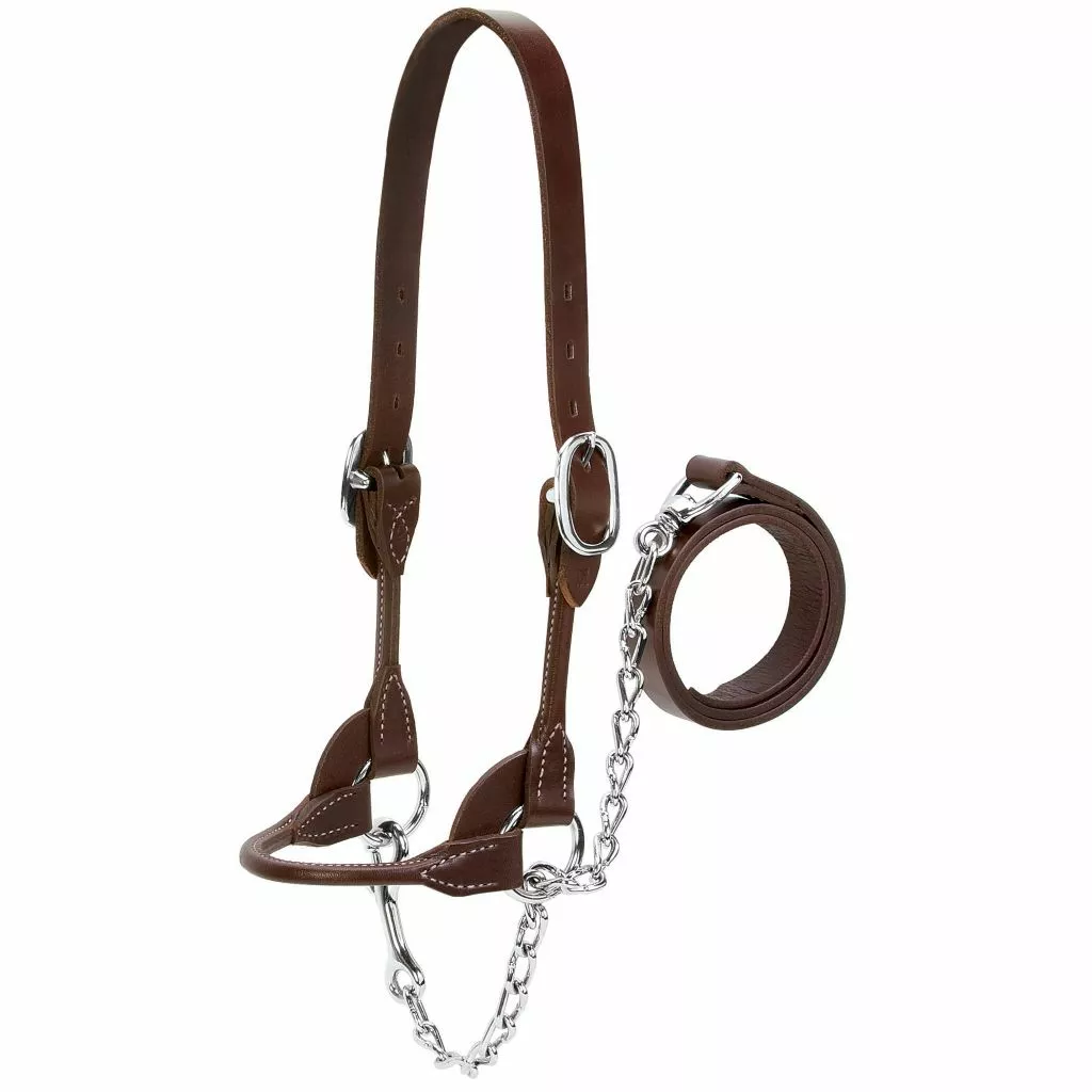 Weaver Leather Dairy/Beef Rounded Show Halter, Large, Brown 1 Weaver Leather Dairy/Beef Rounded Show Halter, Large, Brown