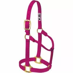 Weaver Leather Original Non-Adjustable Halter, 35-7004-EG -Weaver Leather Sales Shop 5133337